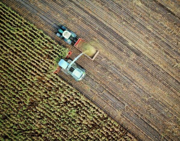 Експорт агропродукції з України скоротився на 57%