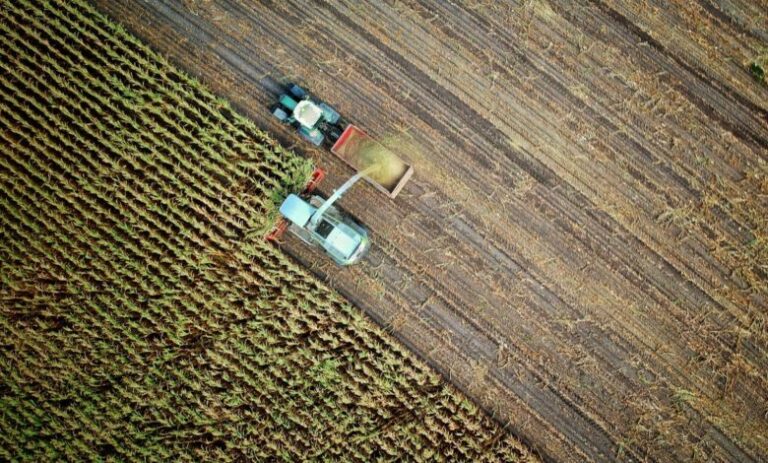 Експорт агропродукції з України скоротився на 57% 1