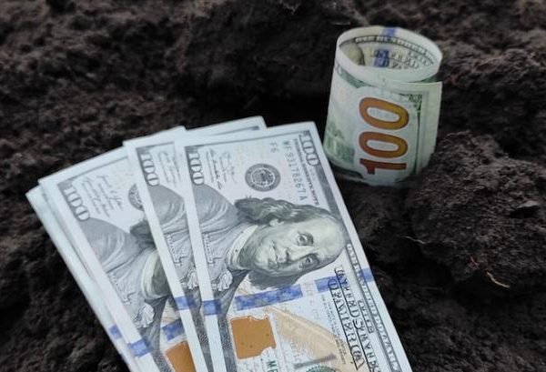 НБУ збільшив вартість зернової застави до 75%