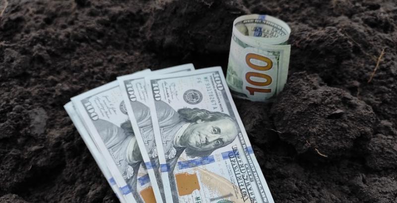 НБУ підвищив коефіцієнт врахування зерна як застави з 40% до 75%