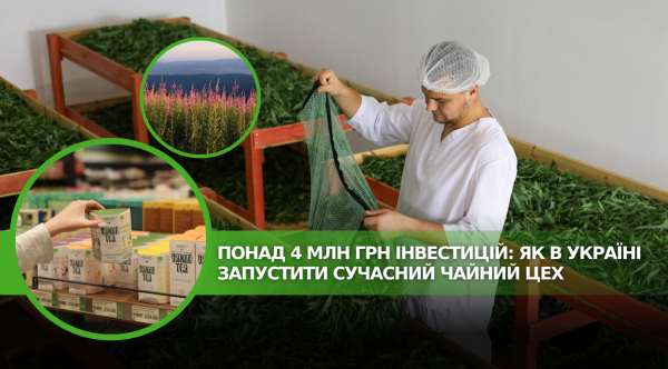 4 мільйони гривень інвестицій для сучасного чайного цеху в Україні 18 4 мільйони гривень інвестицій для сучасного чайного цеху в Україні 14