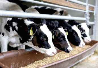 ХІІ сесія International School of Feed: продуктивне кормовиробництво під прицілом 31