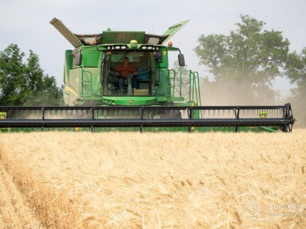 Зростання вартості збирання та брак сховищ: аграрії стикаються з 11-мільйонним дефіцитом