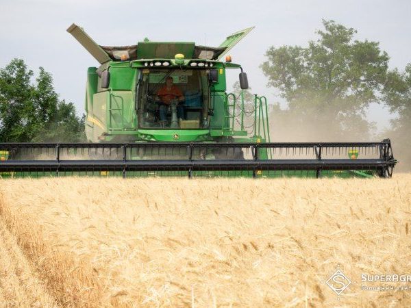 Збір озимої пшениці на Черкащині становить 5,5 т/га, тоді як ячмінь дає 4,99 т/га — SuperAgronom.com