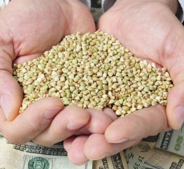 Аграрний експорт України приніс 60% валютних доходів: виручка сягнула $12,6 млрд — АГРОПОЛІТ