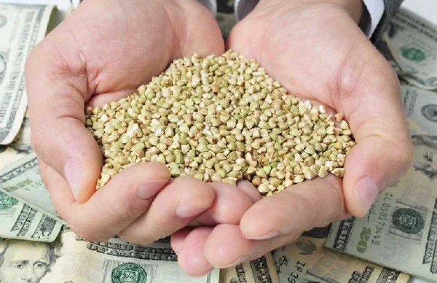 Експорт зерна з України Загальний зовнішньоторговельний оборот аграрної продукції за шість місяців року становив 17,3 млрд доларів