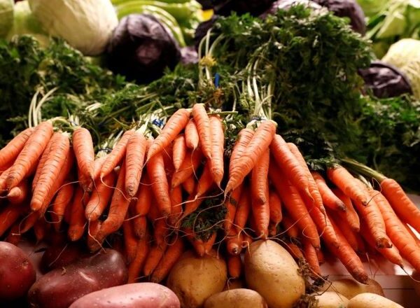 Харківські оптові майданчики пропонують овочі за нижчими цінами