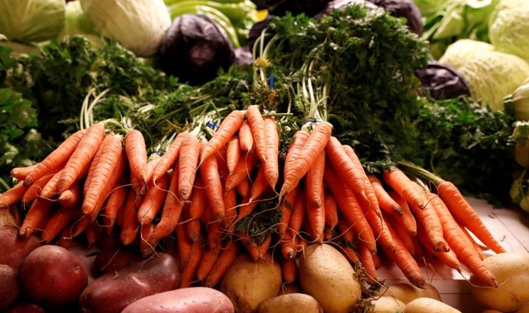 У Харкові запрацювали оптові майданчики з дешевшими овочами