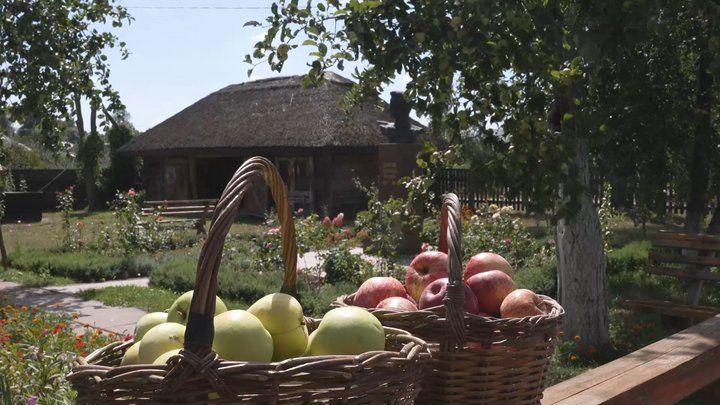 Рекордний урожай яблук у Сосницькій громаді 19 У Сосницькій громаді Чернігівщини вродив рекордний урожай яблук