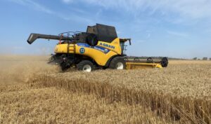 ГОЛОВНА 42 Зібрано 32 мільйони тонн ранніх зернових