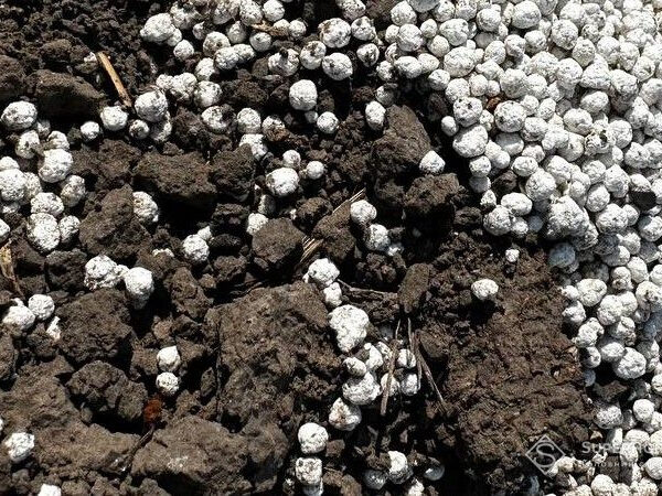 Ціни на комплексні добрива в Україні пішли вгору