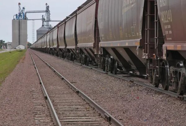 Агроекспорт: конкуренція та спотові продажі кукурудзи