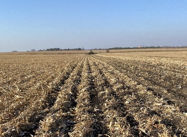 Біологізація землеробства: змінюємо підходи до обробітку ґрунту