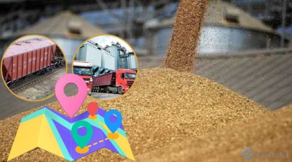 Логістика агропродукції: як регіональні особливості впливають на вартість перевезень
