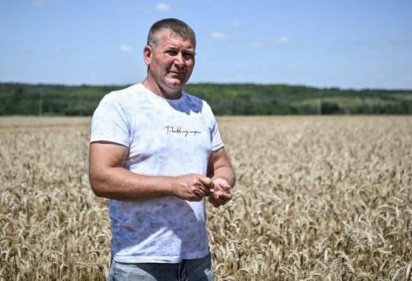 Фермери з прифронтових областей уникають зберігання зерна через ризик обстрілів.
