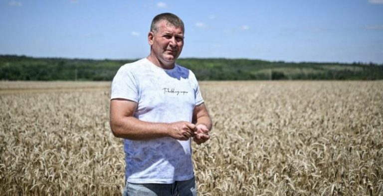 Фермери з прифронтових областей уникають зберігання зерна через ризик обстрілів. 4