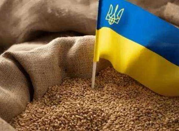 Україна в серпні експортувала третину потенційної агропродукції