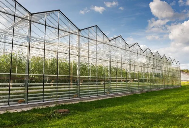 Агрохолдинги готують 500 фахівців для тепличного сектору 2 Smart Harvest розпочинає програму підготовки 500 спеціалістів для тепличного бізнесу