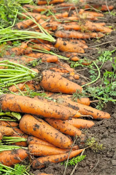 Юлія Ворощук: історія продукту — запорука успіху на ринку 18