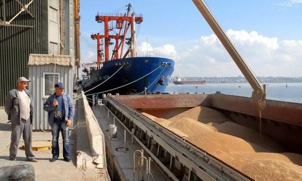 Близько третини агропідприємств можуть стати неплатоспроможними внаслідок перекриття морських шляхів для експорту зерна, повідомляє Українська аграрна конфедерація.