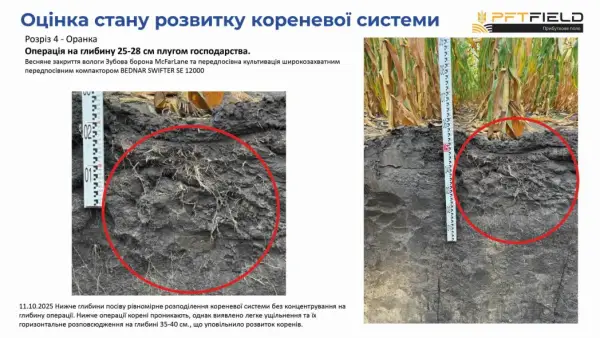 Збільшення врожайності кукурудзи: як вибір системи обробітку ґрунту впливає на прибуток 13