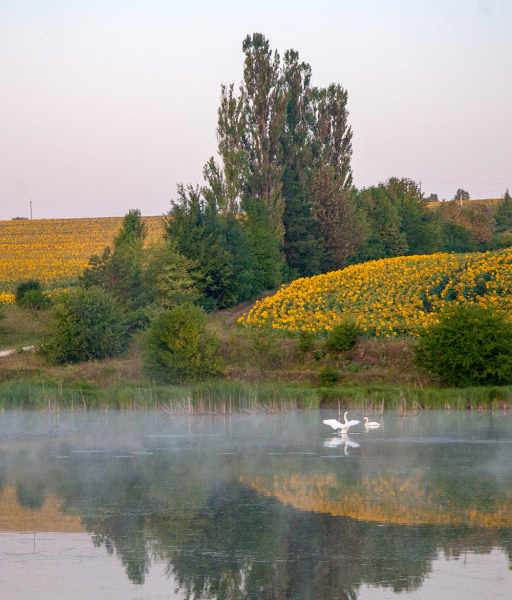 Село Папірня: ставки та старовинний млин 18