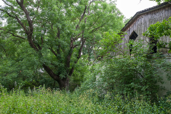 Експедиція на Поділля: родина Виноградських у селі Кутківці 40