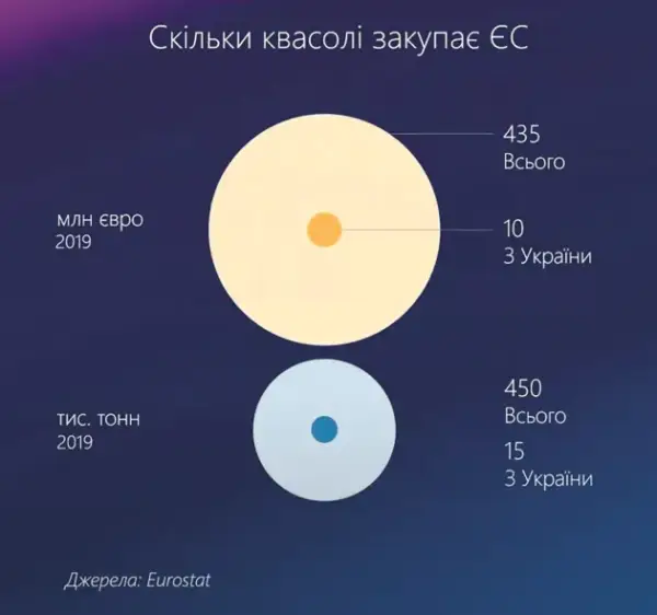 Квасоля приносить 70 тисяч гривень з гектара: як цього досягти 15 Квасоля приносить 70 тисяч гривень з гектара: як цього досягти 15