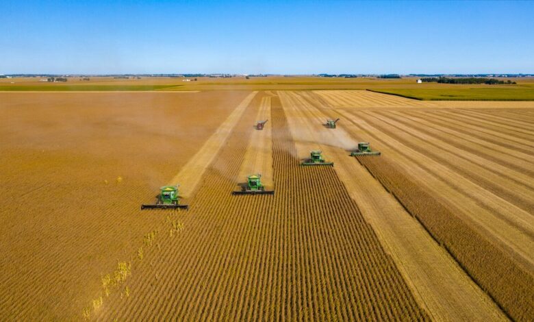 Зернові України: врожай 32 мільйони тонн, приріст 13% 2 green truck on brown field under blue sky during daytime