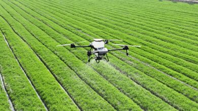 A large field of green grass with a small plane in the middle of it