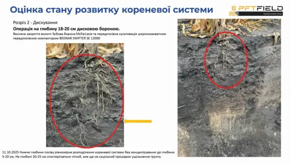 Збільшення врожайності кукурудзи: як вибір системи обробітку ґрунту впливає на прибуток 11