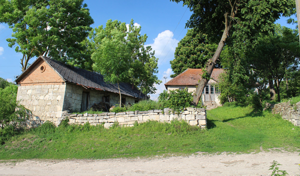Село Папірня: ставки та старовинний млин 25