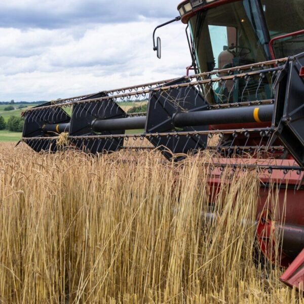 Російські атаки гальмують експорт агропродукції, збільшуючи терміни на 40-50%