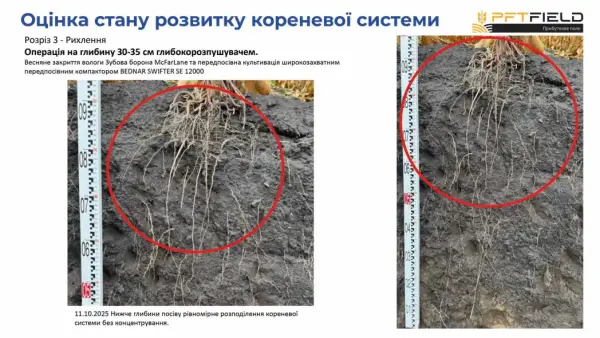 Збільшення врожайності кукурудзи: як вибір системи обробітку ґрунту впливає на прибуток 12