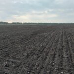 Мінімальний обробіток ґрунту: економія ресурсів на полі
