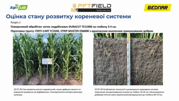 Смуговий обробіток та управління рештками кукурудзи: сезонний досвід 12