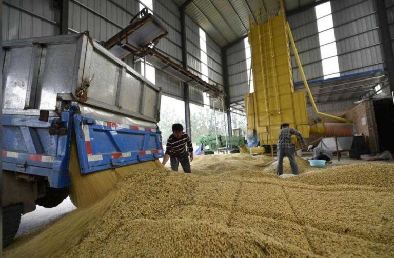 На Волині запускають завод із переробки сої вартістю €8,5 мільйона 8
