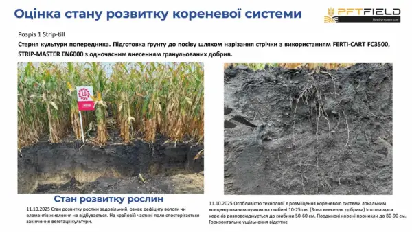 Збільшення врожайності кукурудзи: як вибір системи обробітку ґрунту впливає на прибуток 1