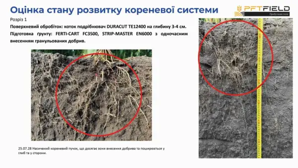 Смуговий обробіток та управління рештками кукурудзи: сезонний досвід 13