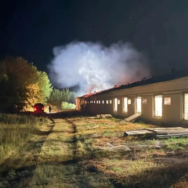На птахофабриці внаслідок обстрілу загинуло 20 тисяч бройлерів