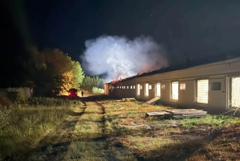 На птахофабриці внаслідок обстрілу загинуло 20 тисяч бройлерів 7