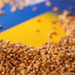 ГОЛОВНА 57 Україна експортувала 3,5 мільйона тонн зерна з початку нового сезону