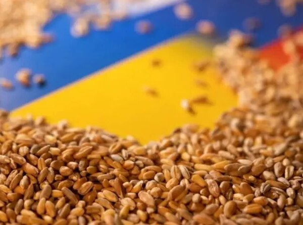 Україна експортувала 3,5 мільйона тонн зерна з початку нового сезону