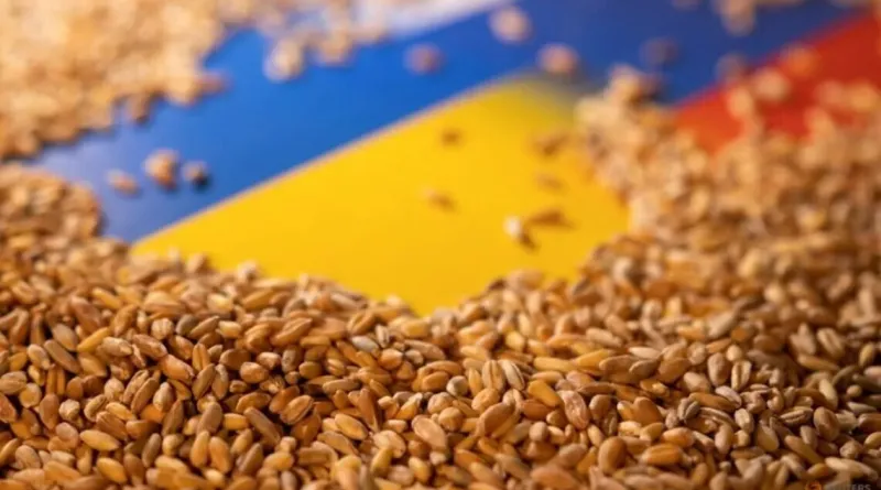 Україна експортувала 3,5 мільйона тонн зерна з початку нового сезону 2 Україна експортувала 3,5 млн тонн зерна у 2026/27 маркетинговому році