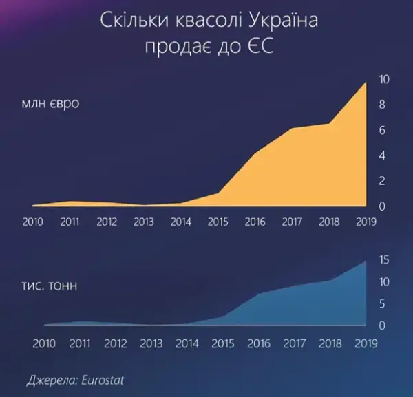 Квасоля приносить 70 тисяч гривень з гектара: як цього досягти 17 Квасоля приносить 70 тисяч гривень з гектара: як цього досягти 17