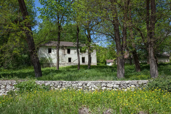 Експедиція на Поділля: родина Виноградських у селі Кутківці 42
