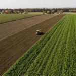 ГОЛОВНА 59 Аграрії Херсонщини: високі ризики втрати врожаю
