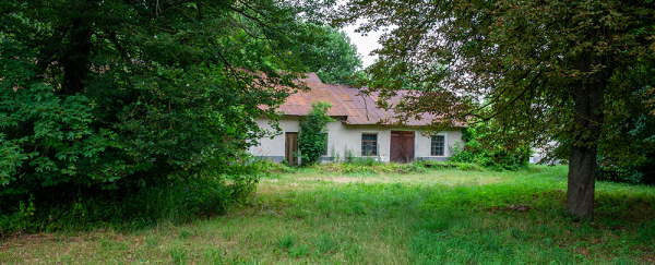 Експедиція на Поділля: родина Виноградських у селі Кутківці 53