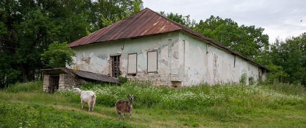Експедиція на Поділля: родина Виноградських у селі Кутківці 38
