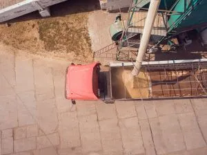 Російська пшениця: експорт скоротився, ринок реагує